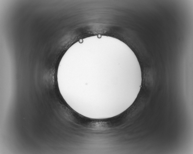 X0000103900501200809261552