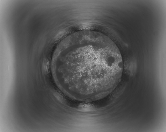 X0000103900503200809261552