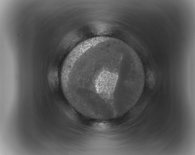 X0000103900506200809261552