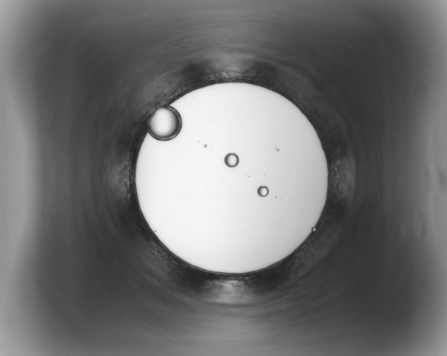X0000103900509200809261552