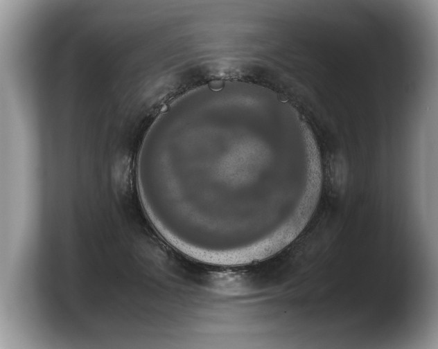 X0000103900511200809261552