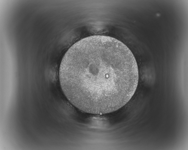 X0000103900515200809261552