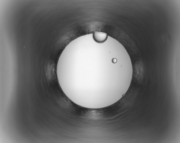 X0000103900522200809261552