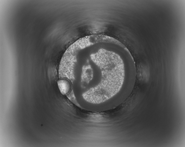 X0000103900523200809261552