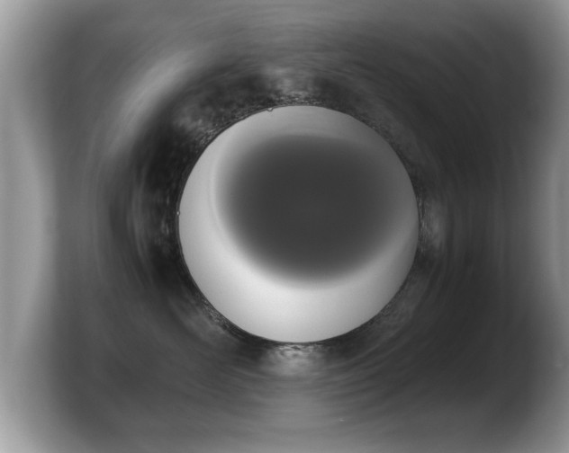 X0000103900526200809261552