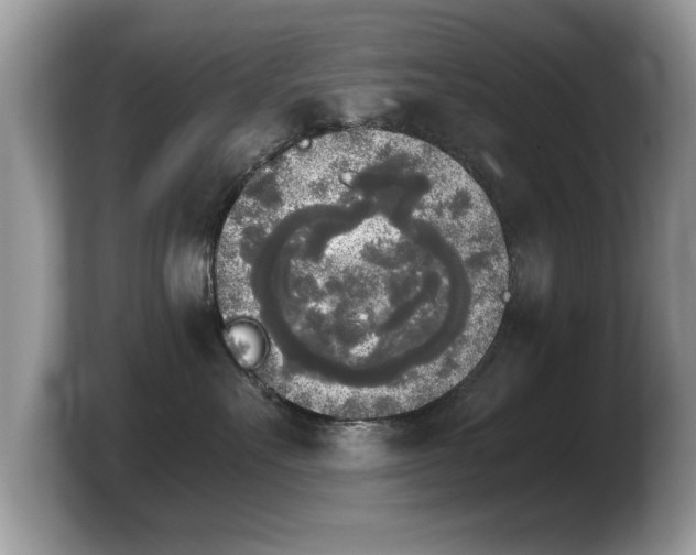 X0000103900527200809261552