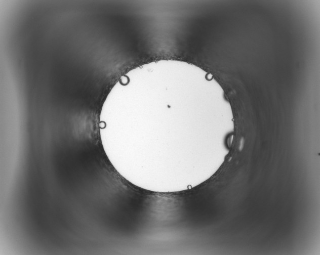 X0000103900528200809261552