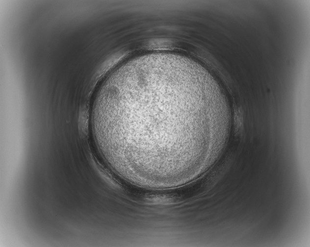 X0000103900533200809261551
