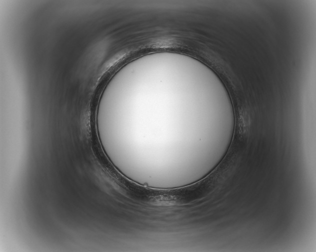 X0000103900535200809261551