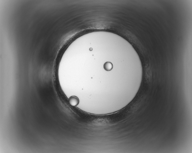 X0000103900536200809261551