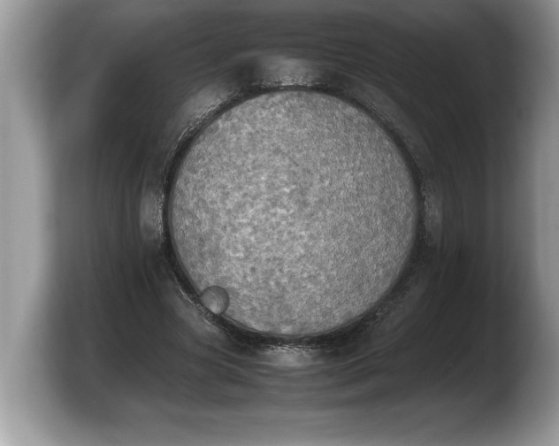 X0000103900537200809261551