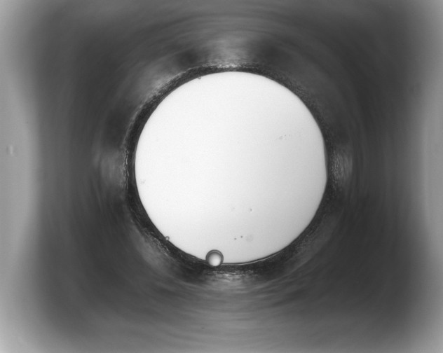 X0000103900540200809261551