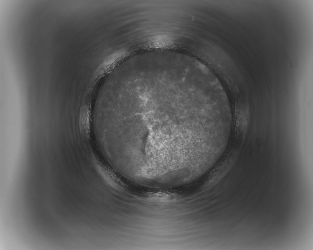X0000103900542200809261551