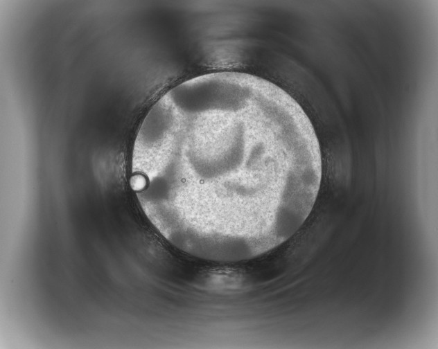 X0000103900549200809261551