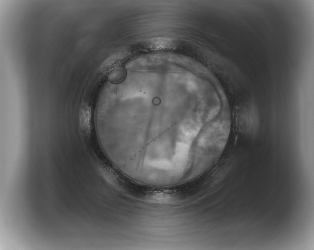 X0000103900550200809261551