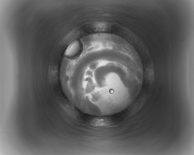 X0000103900557200809261551