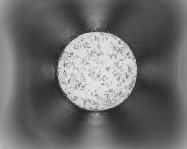 X0000103900558200809261551