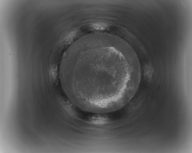 X0000103900559200809261552