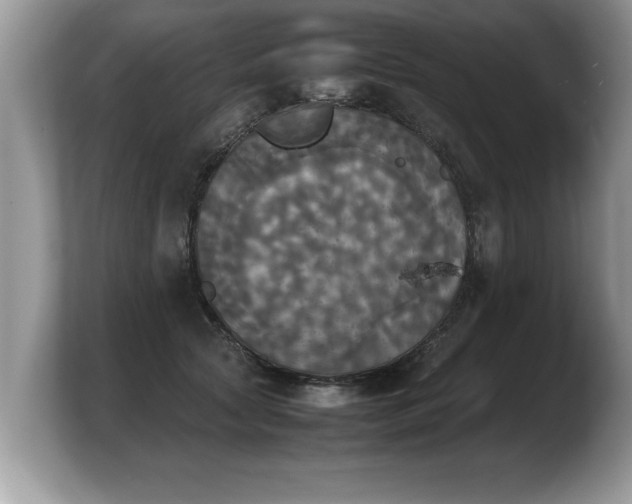 X0000103900561200809261552