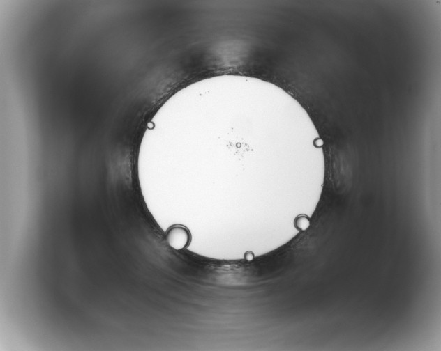 X0000103900562200809261552