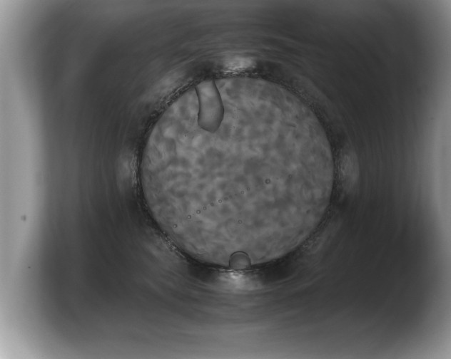 X0000103900565200809261552