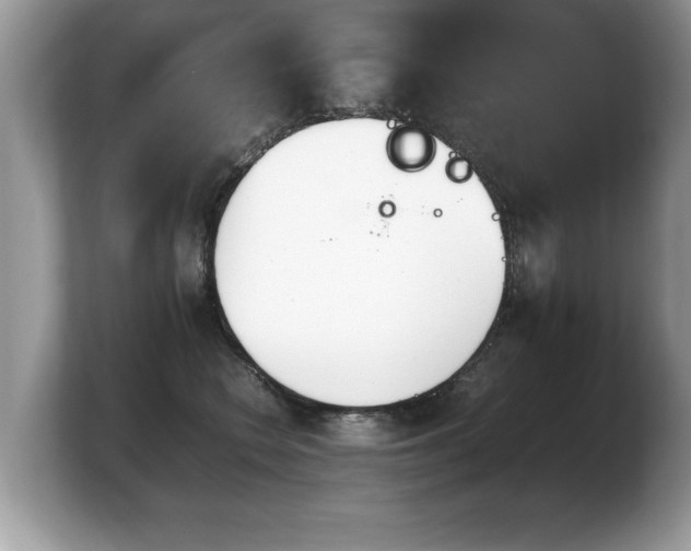 X0000103900566200809261552