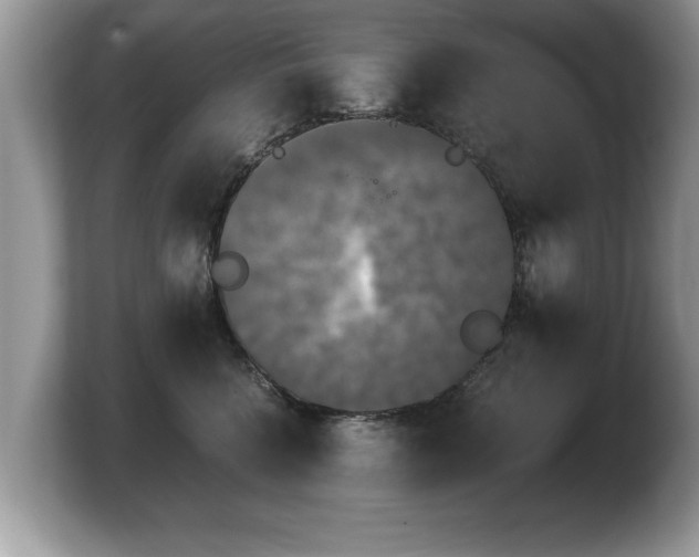 X0000103900568200809261552