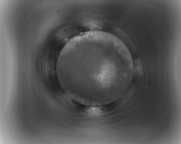 X0000103900573200809261552