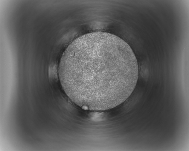 X0000103900575200809261552