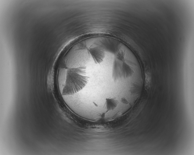 X0000103900580200809261551