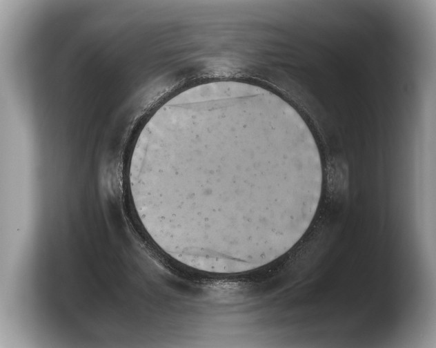 X0000103900581200809261551
