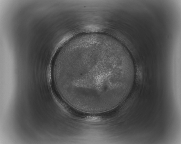 X0000103900582200809261551