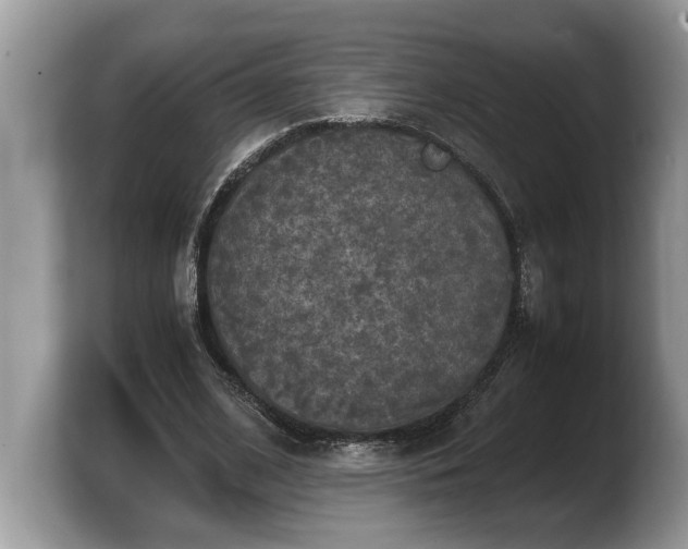 X0000103900584200809261551