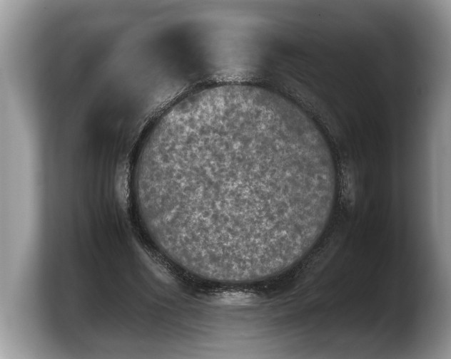 X0000103900586200809261551