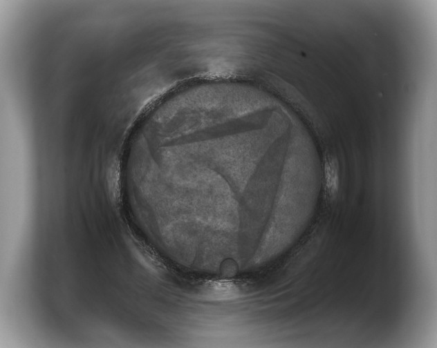 X0000103900588200809261551