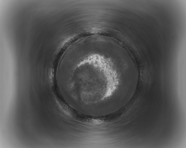X0000103900592200809261551