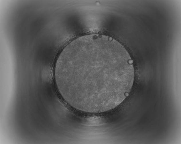 X0000103900593200809261551
