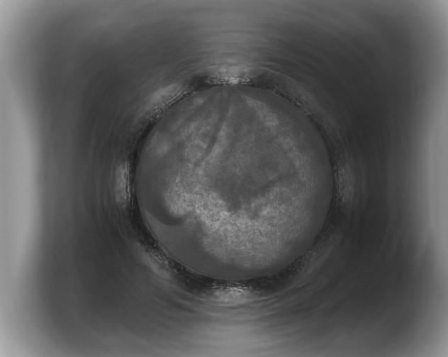 X0000103900594200809261551