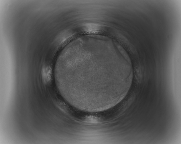 X0000103900596200809261551