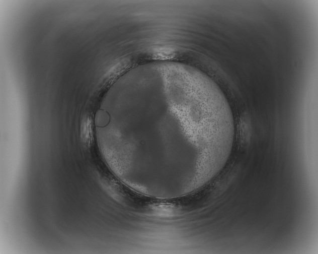 X0000103900598200809261551