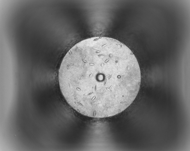 X0000103900601200809261551