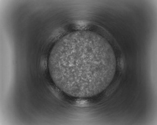 X0000103900602200809261551