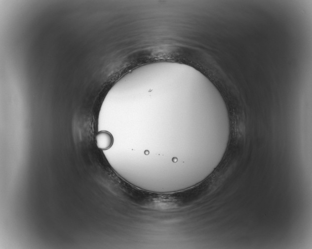 X0000103900603200809261551