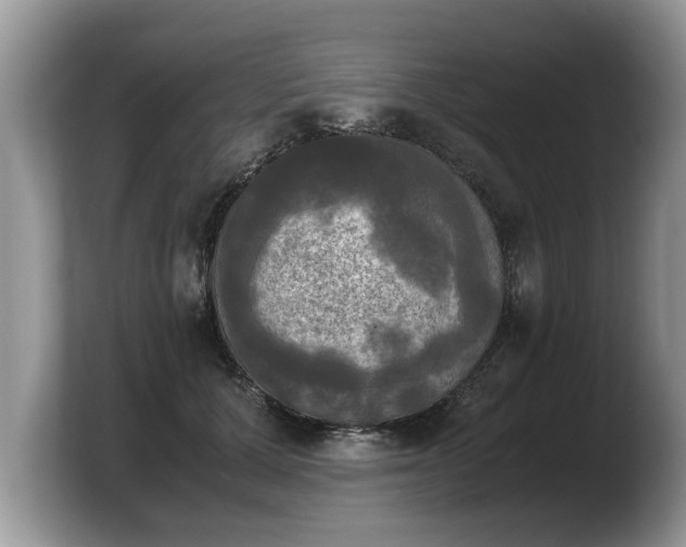 X0000103900607200809261551