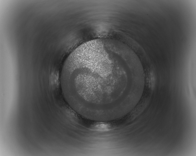 X0000103900610200809261551