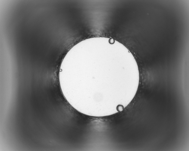 X0000103900611200809261551