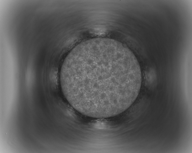 X0000103900612200809261551