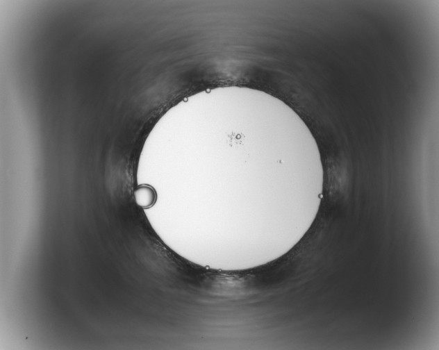 X0000103900613200809261551