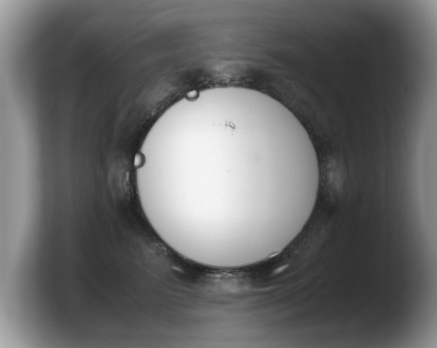 X0000103900615200809261551