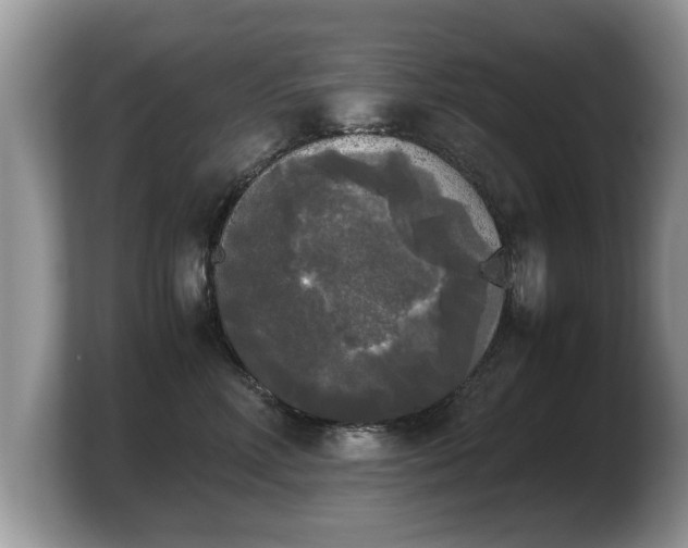 X0000103900618200809261551